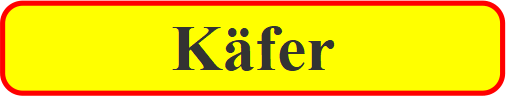Kfer