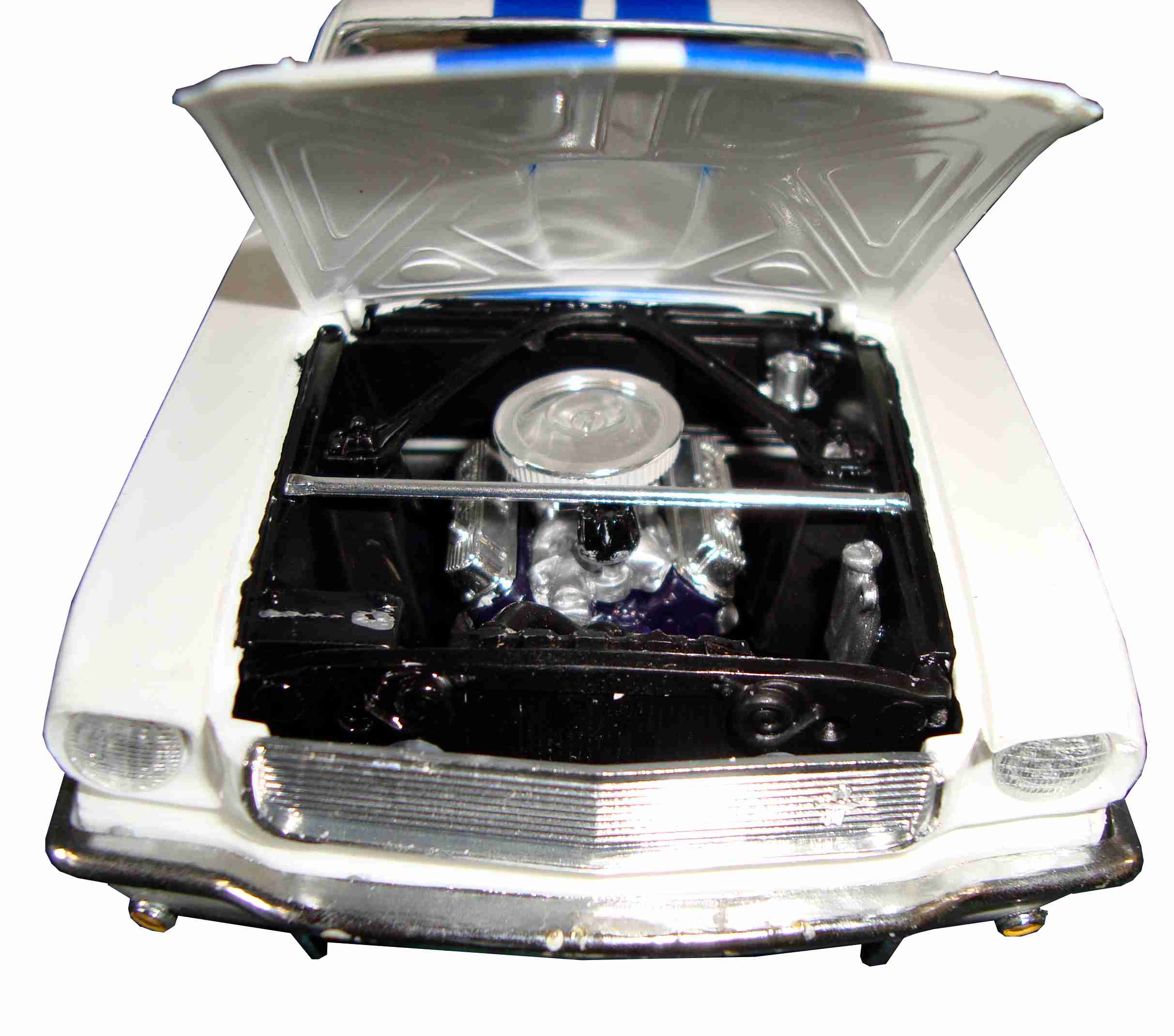 schelby motor