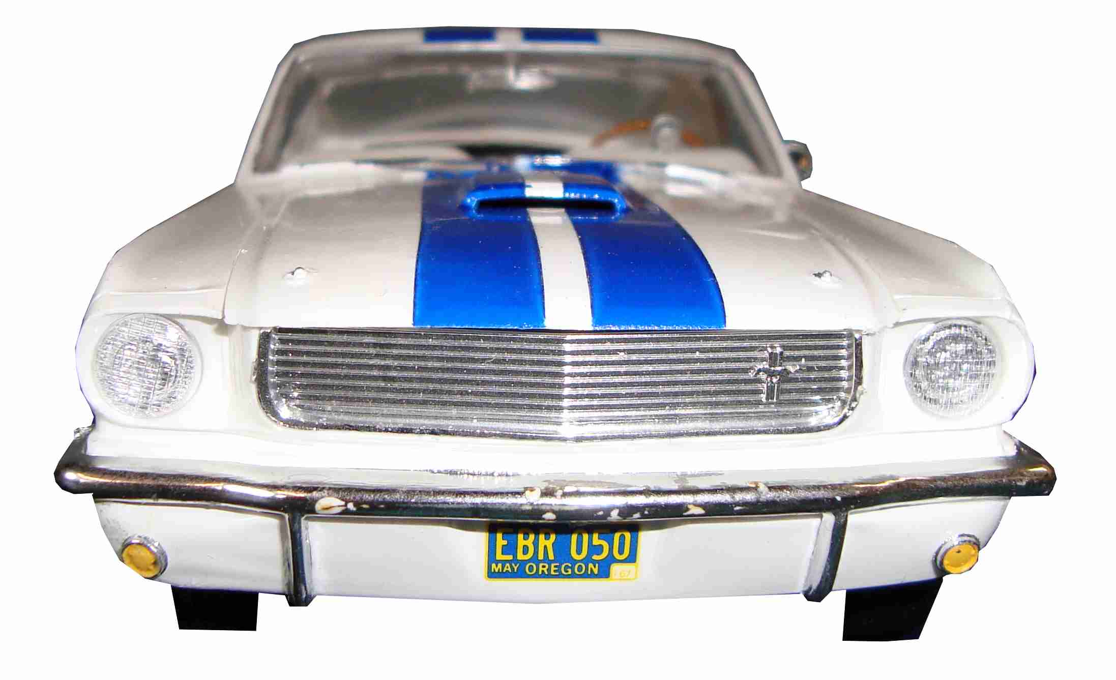 shelby vorne