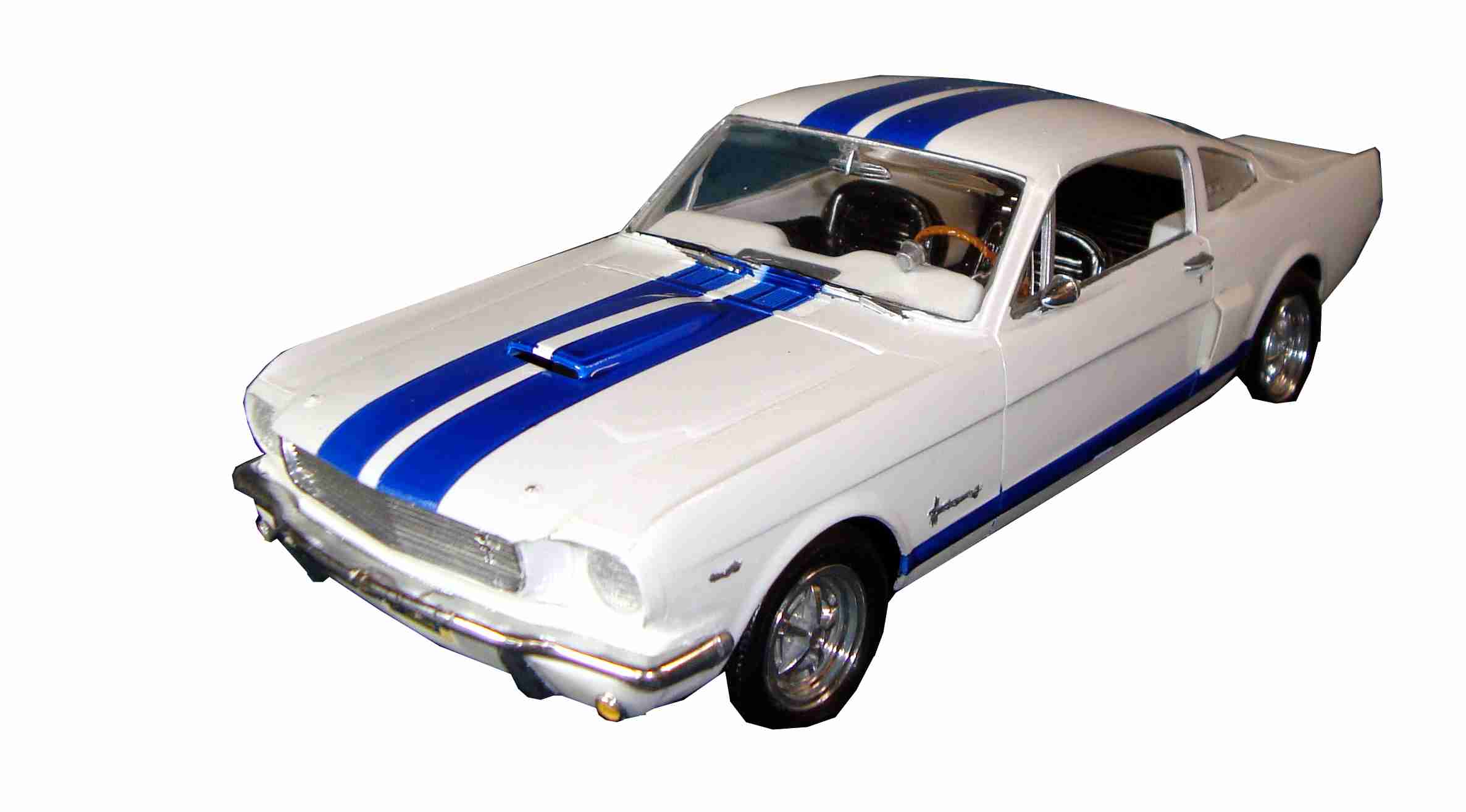 shelby schrg